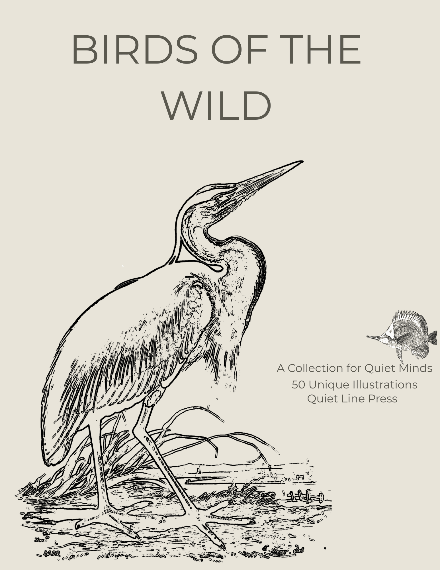 Birds of The Wild — Colouring Book