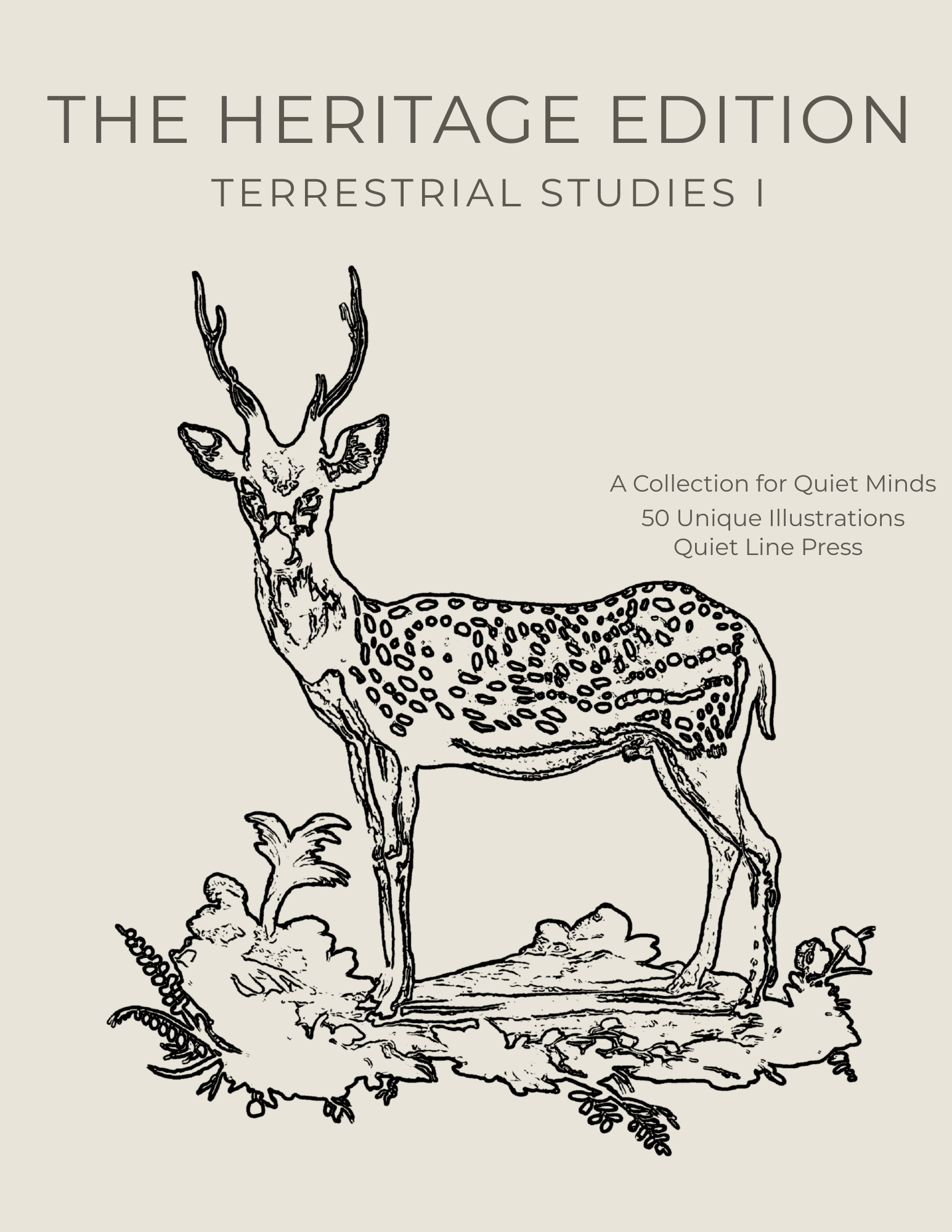 Terrestrial Studies Vol. 1 — Colouring Book